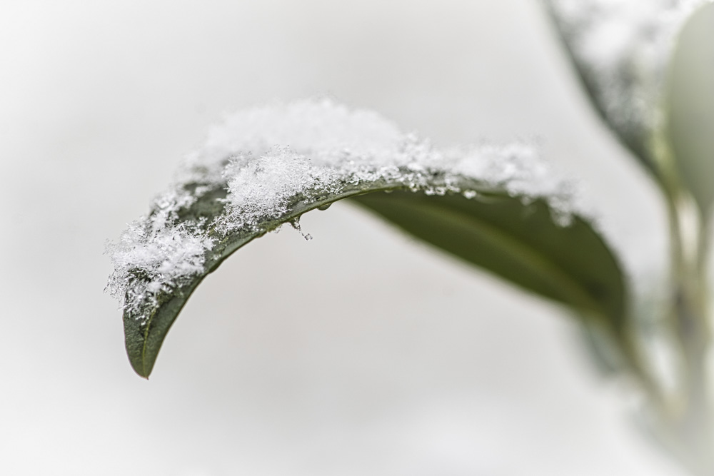 Platz 7 Harald Unglert